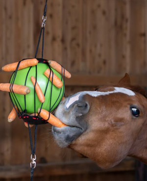 Terapeutická lopta pre kone