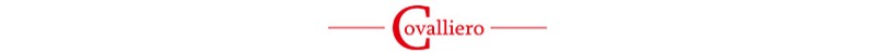 Covaliero_logo